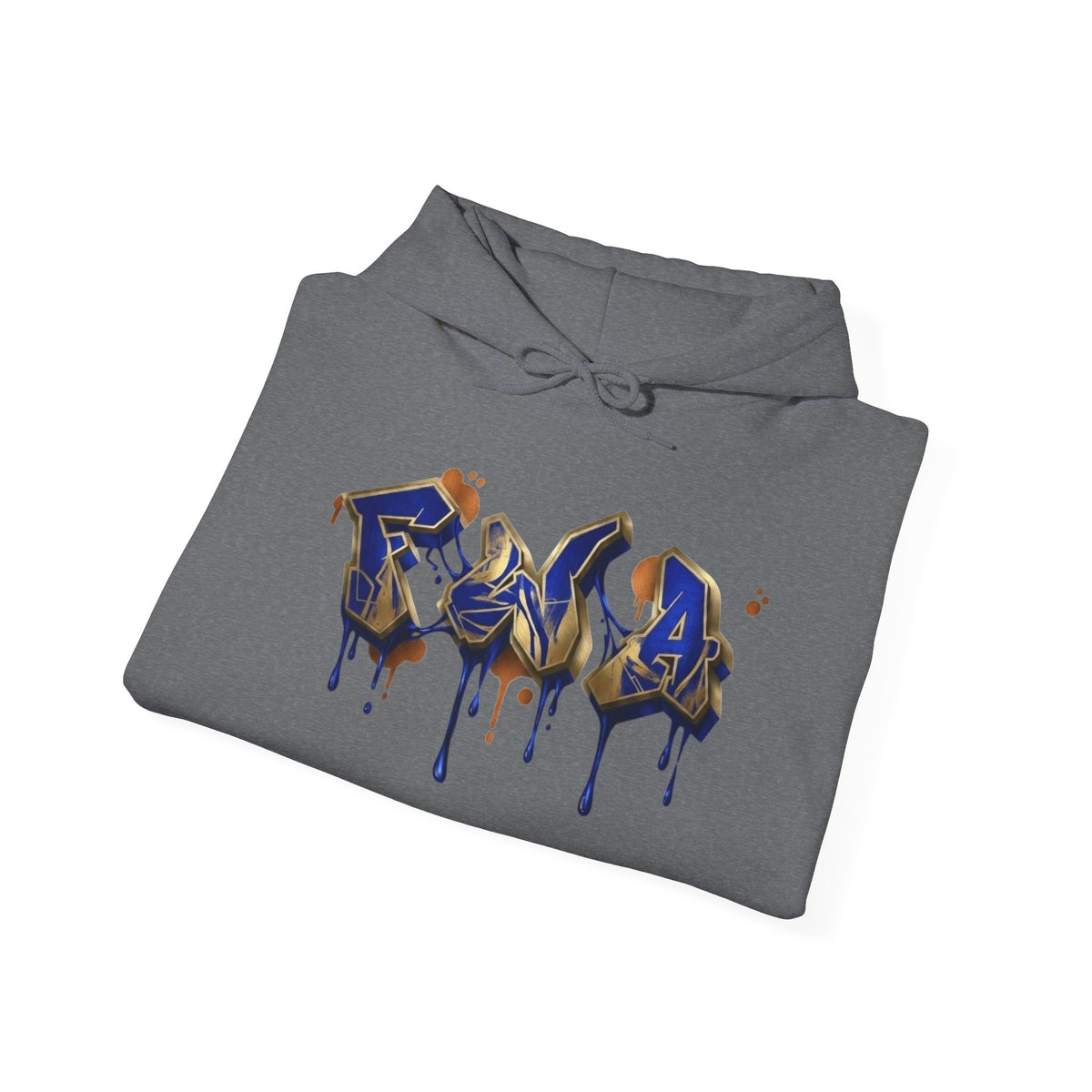 Pray, Believe, Move. Hoodie